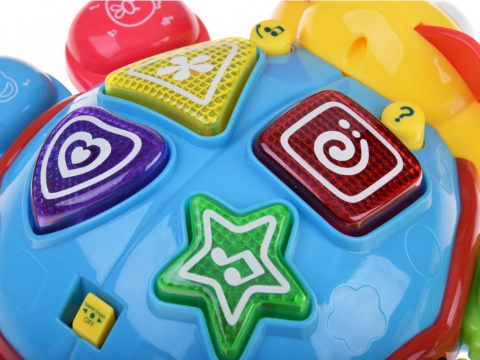 Efecte muzicale și luminoase