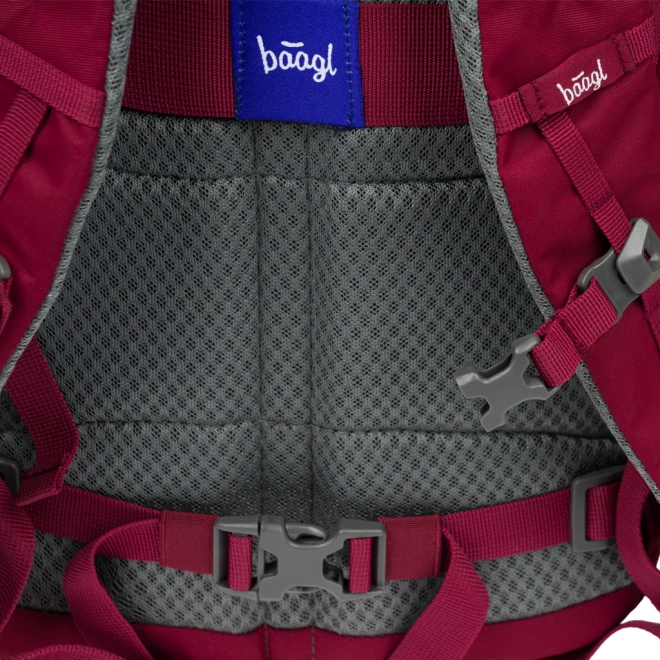 Baagl rucsac Dash burgundy