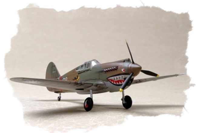 Model plastic P-40B/C Hawk-81