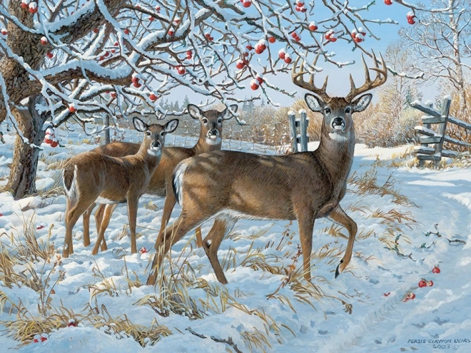 Puzzle Jeleni în iarnă 500 piese