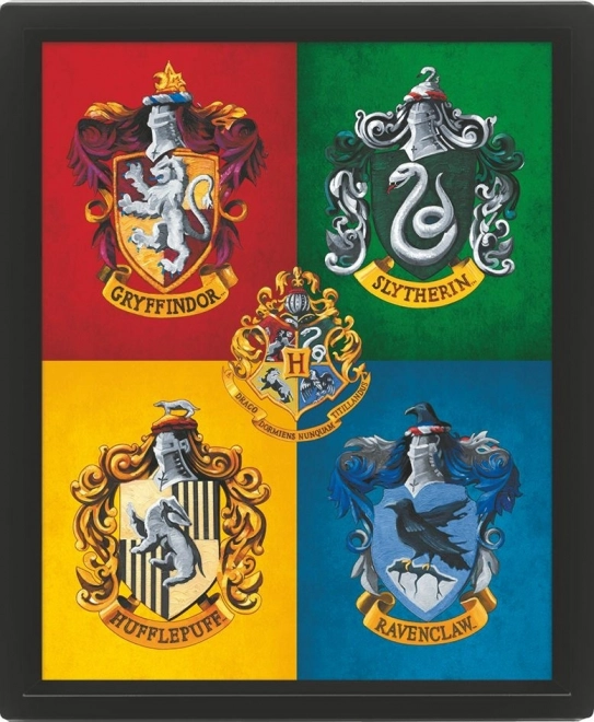 Tablou 3D Harry Potter colorat