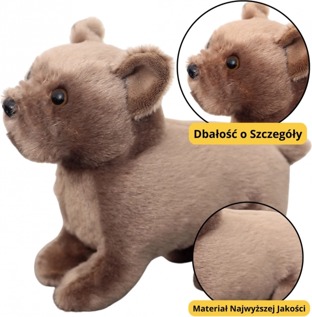 Căţeluş de pluș maro 19cm