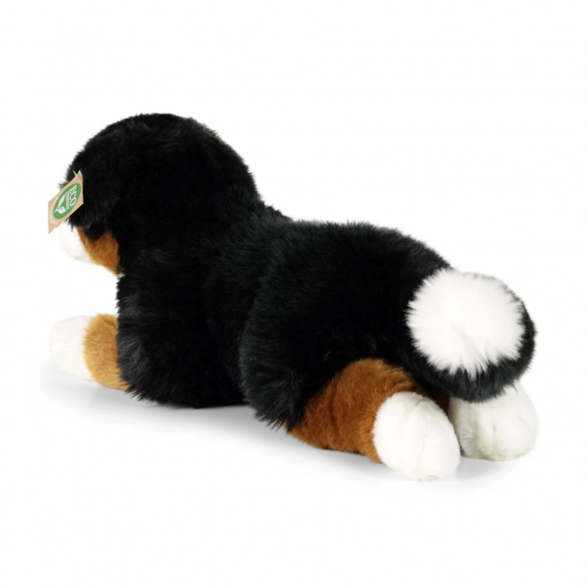 Pudel Bernese din pluș eco-friendly 44 cm