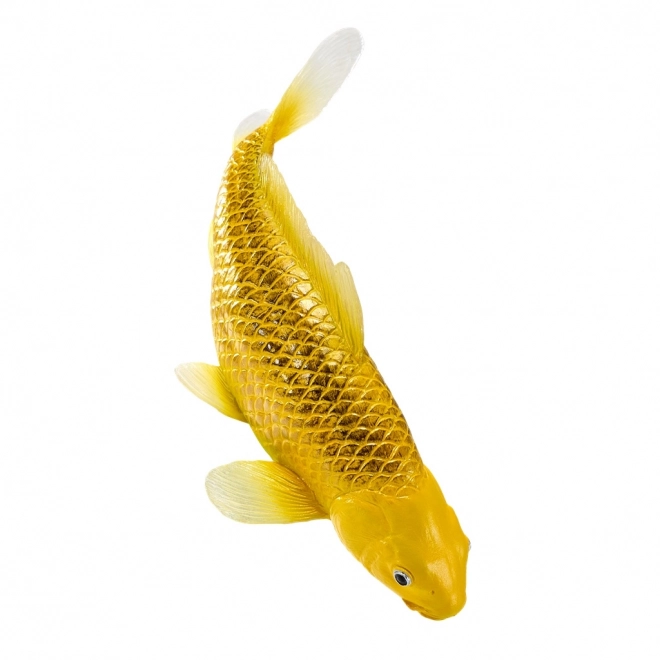 Mojo crap koi Matsuba