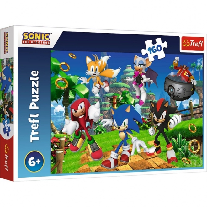 Puzzle 160 piese Sonic și prietenii