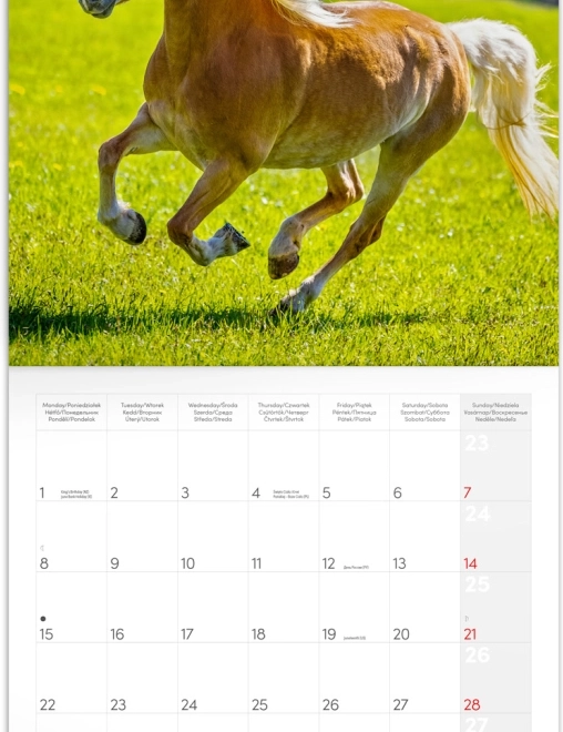 Calendar de notițe Cai Christiane Slawik 2026