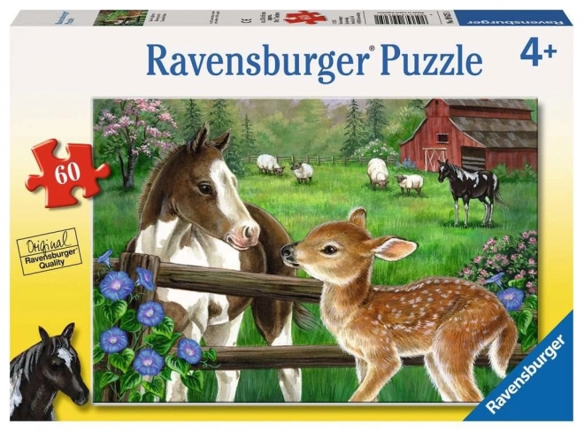 Puzzle RAVENSBURGER Mânz și căprior 60 de piese