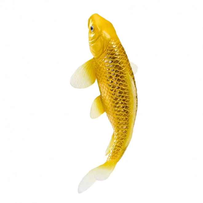 Mojo crap koi Matsuba