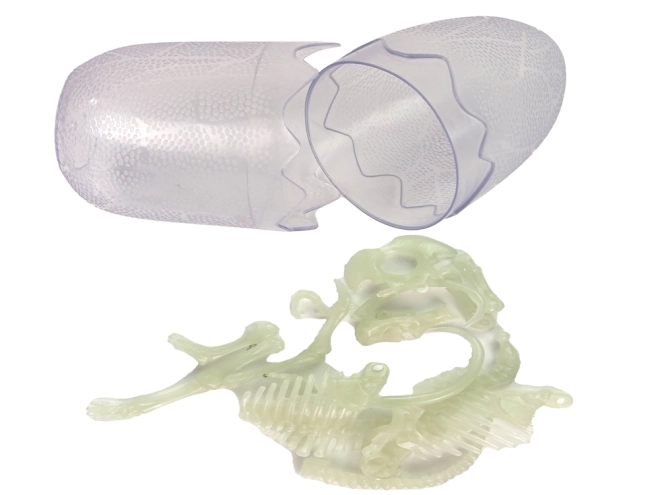 Anatomie detaliată