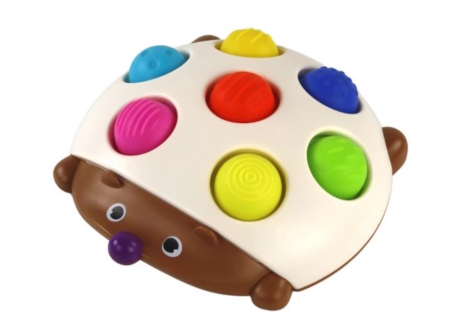 Arici senzorial Placă Montessori distractivă