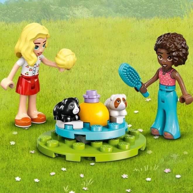 Loc de joacă pentru porcușori de Guineea LEGO Friends