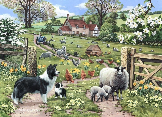 Puzzle Învățare Timpurie 1000 Bucăți