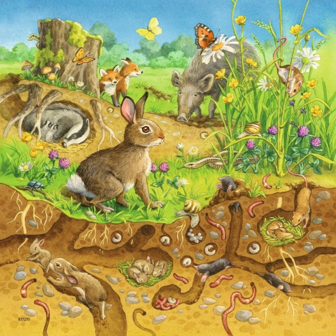 Puzzle Animalele în Habitatul Lor de la Ravensburger