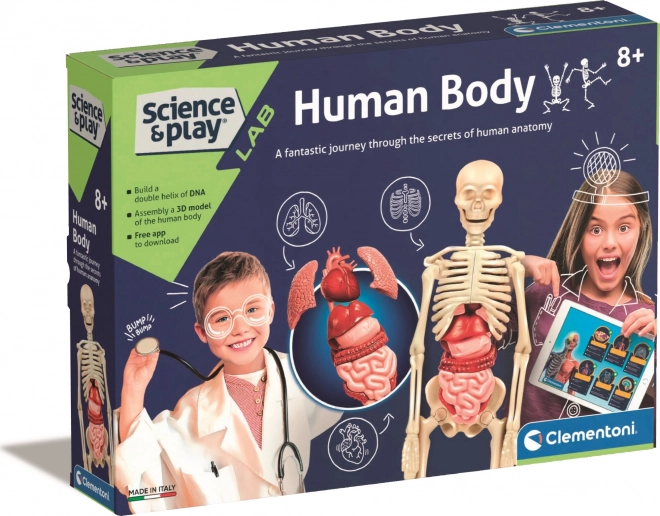 Set de anatomie a corpului uman CLEMENTONI Science&Play