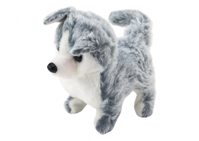 Cățeluș Husky Interactiv cu Sunet
