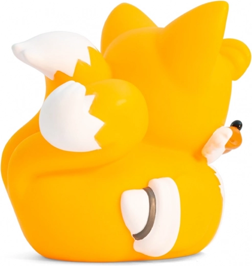 Ideală pentru expunere