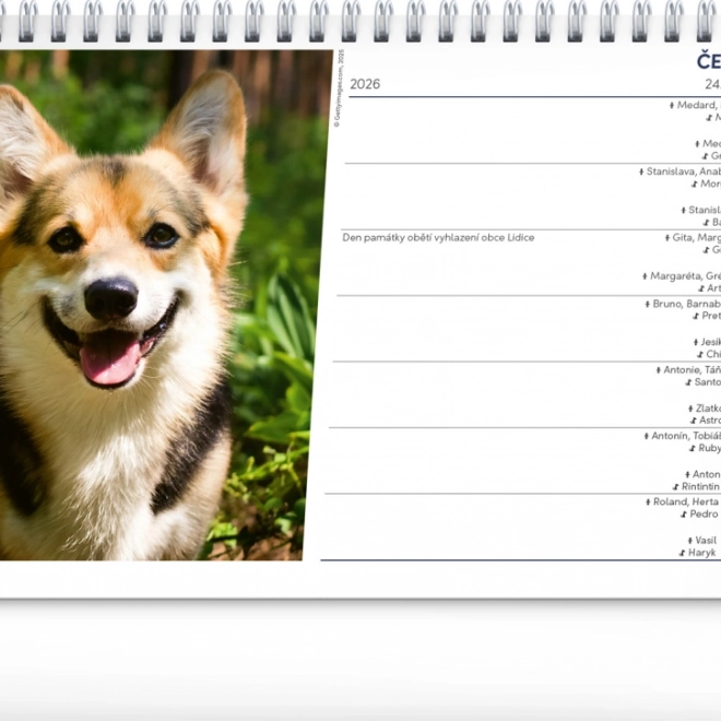 Calendar de birou Câini 2026