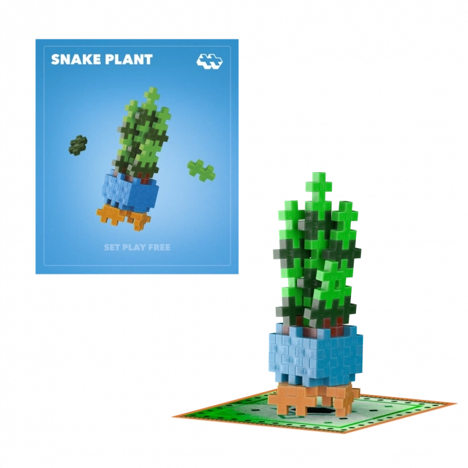 Plus-Plus floare Snake Plant