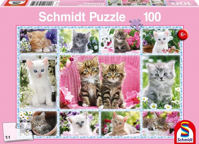 Puzzle pisici SCHMIDT 100 piese