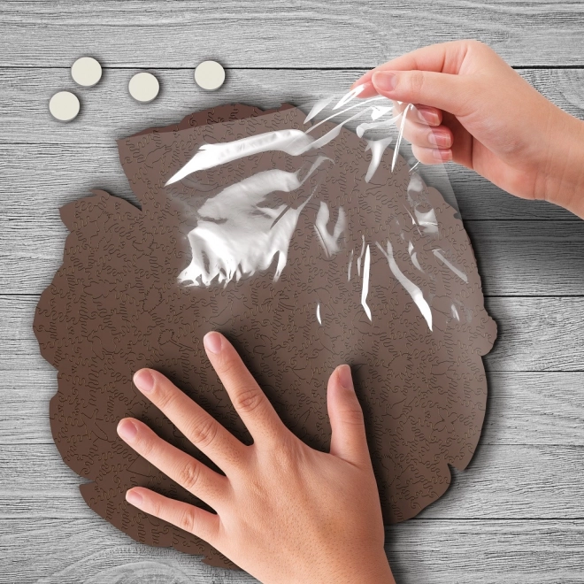 Puzzle din lemn tucan 500 piese