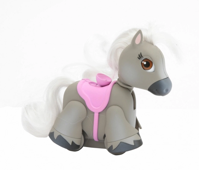 Poneii Pet Parade