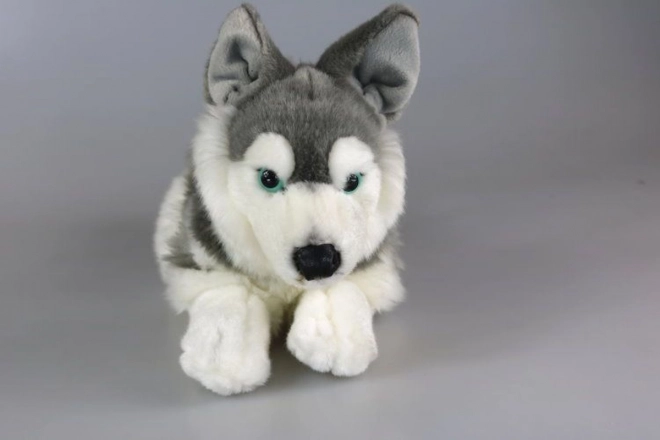 husky din pluș de 34 cm