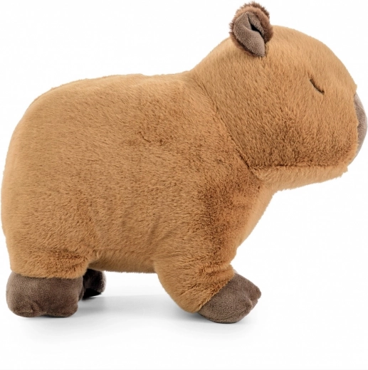 Design natural și liniștitor