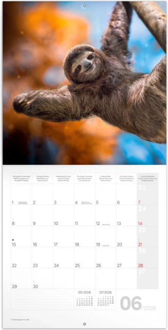 Calendar de notițe Zâmbet pentru anul 2026