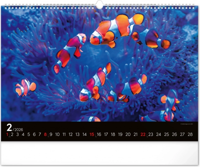 Calendar de perete Lumea subacvatică 2026