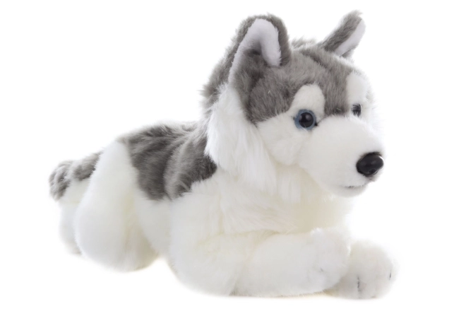 Câine din pluș 29 cm