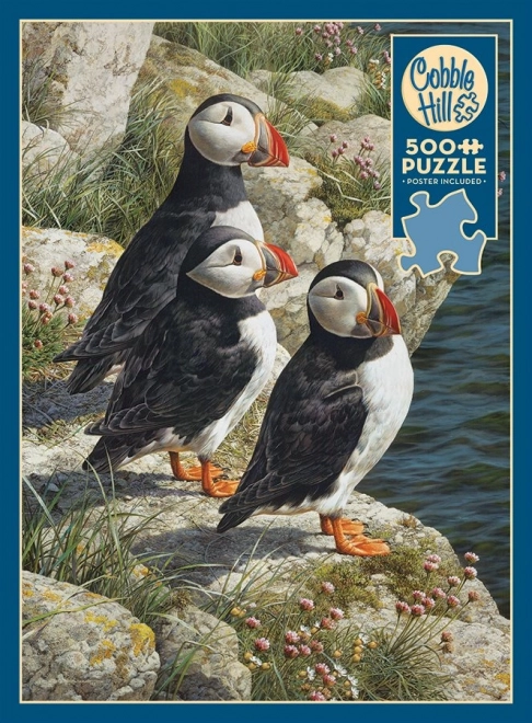 Puzzle Papagal Cobble Hill 500 piese
