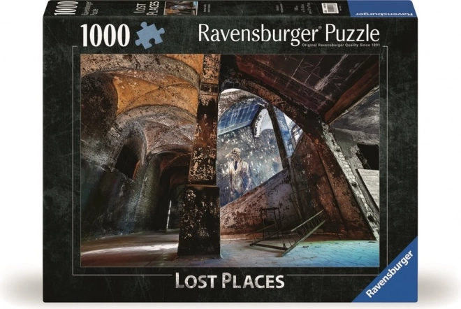 Puzzle Ravensburger Locuri Pierdute: Coridor Arcuit 1000 Piese