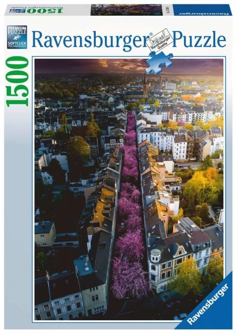 Puzzle 2D Ravensburger 1500 de piese: Bonn, Germania