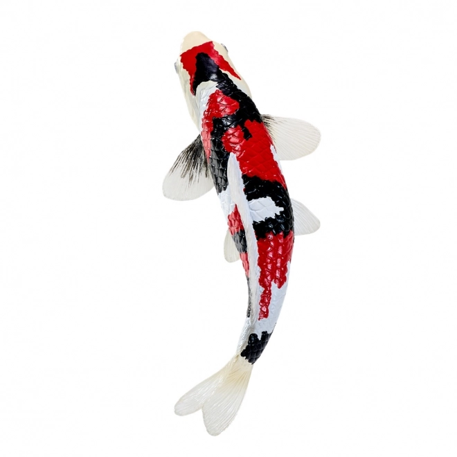 Mojo crap koi showa sanshoku