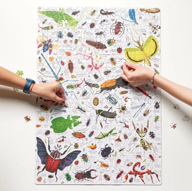 Puzzel Puzzlove Insecte 1000 piese