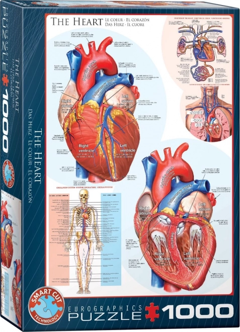 Puzzle inima EUROGRAPHICS 1000 de piese