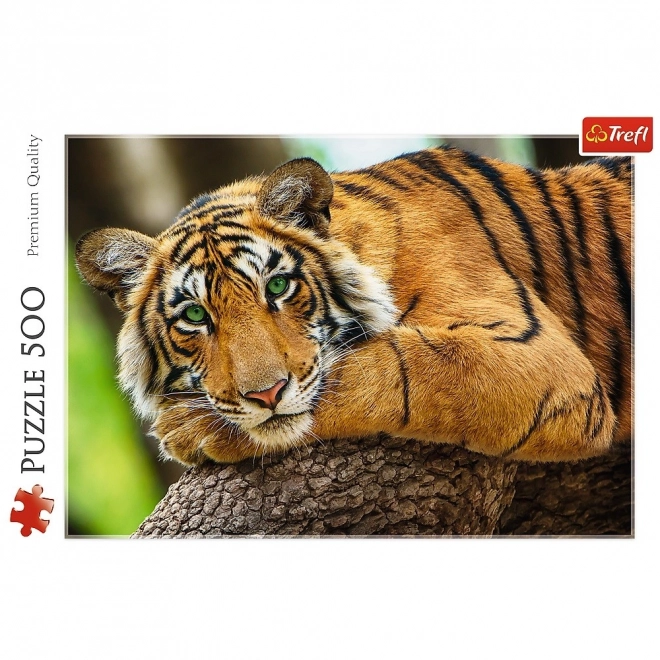 Puzzle Portret de Tigru 500 de piese