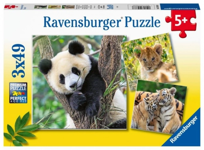 Puzzle Panda, Tigru și Leu 3x49 Piese