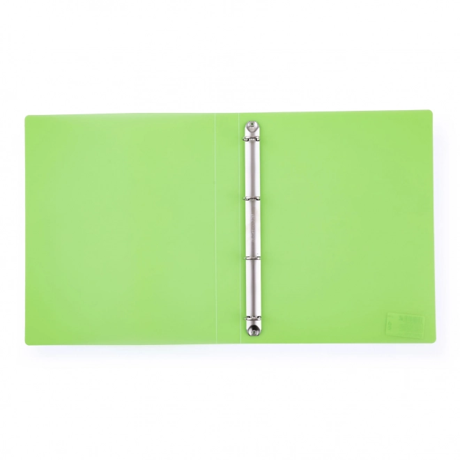 Organizator cu 4 inele Opaline verde A4