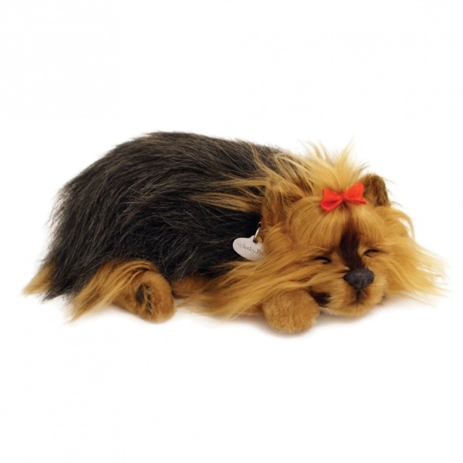 Cățeluș animat Yorkies de la Perfect Petzzz