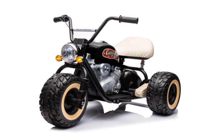 Motor electric trike 24V negru