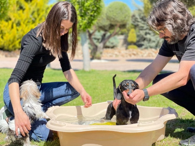 Piscină clasică pentru animale Loboo