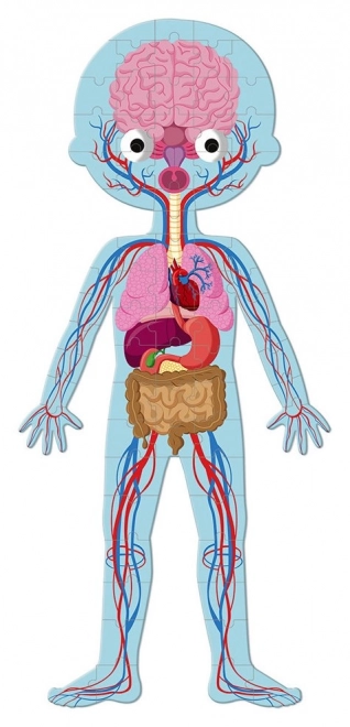 Puzzle corpul uman 3 în 1 pentru copii de la Janod