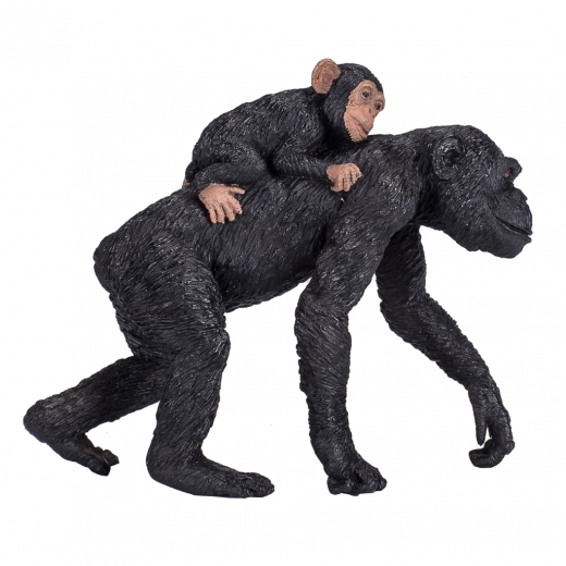 Excelentă pentru joacă și educație