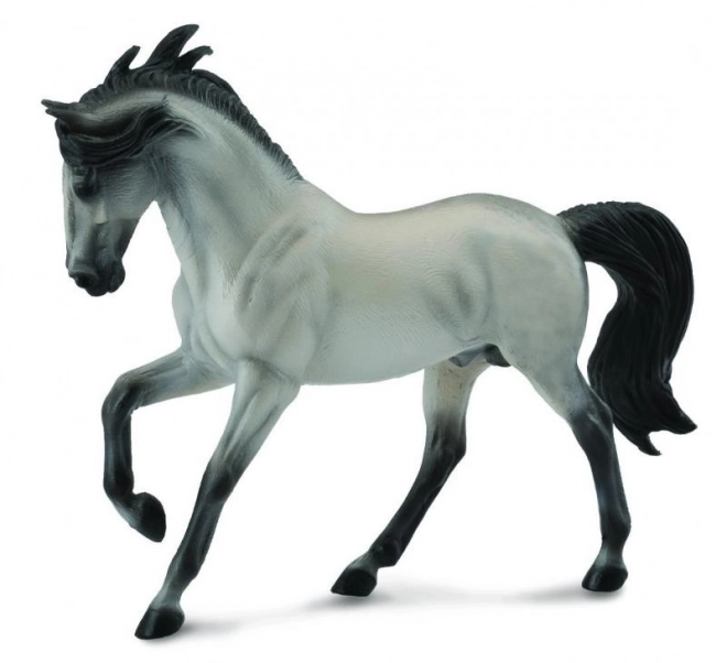 Andaluz cal șediu de la Collecta