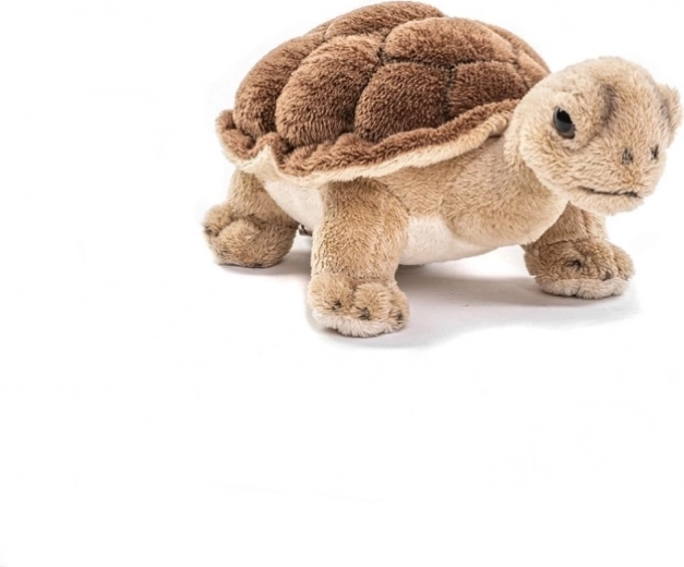 Execuție sigură pentru copii de la 0 ani