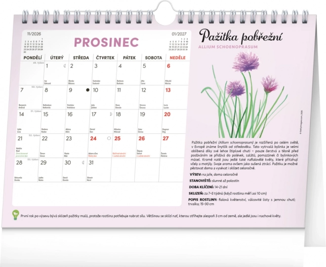 Calendar Notique lunar de planificare cu semințe 2026