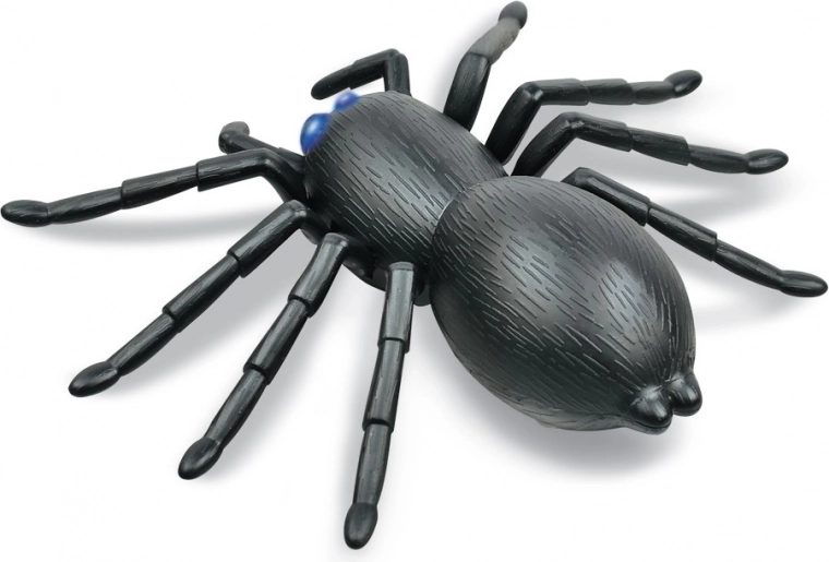 Aspect realist și ochi luminoși