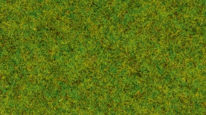 Iarbă statică Noch pajiște de primăvară 2,5 mm