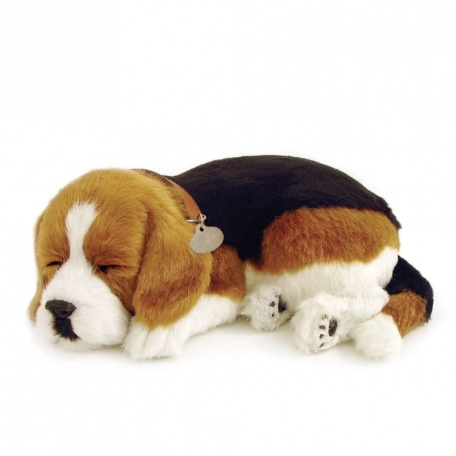 Cățeluș Relaxant Beagle